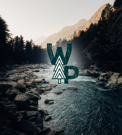 About us - White Pine Business Solutions